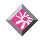 Plug-In Flash
